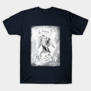 Power and Glory / potentia et gloria T-Shirt